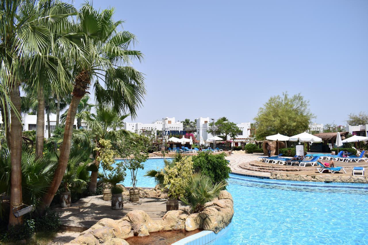 Studio In Delta Sharm Apartman Kültér fotó